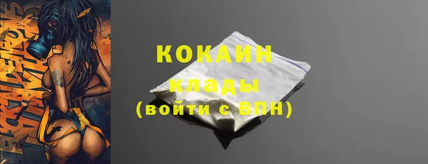 крисы Бородино