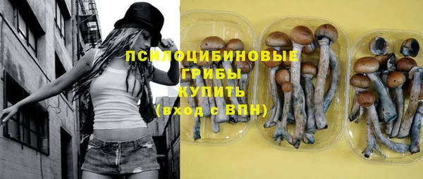 прущая мука Верхний Тагил