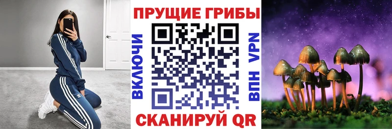 где продают наркотики  Красково  маркетплейс клад  Псилоцибиновые грибы мицелий  hydra ссылки 